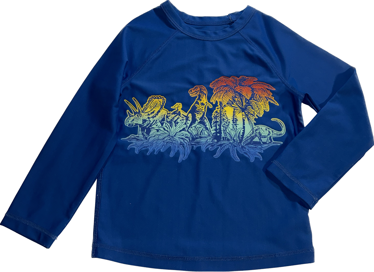 Baby Gap • 2T Dinosaur Rashguard Top